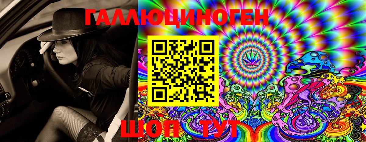 Златоуст  Псилоцибиновые грибы ЛСД  закладки  Вход с VPN 